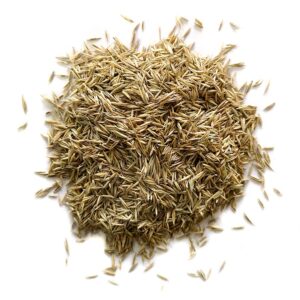 Grass Seed 1kg Bag