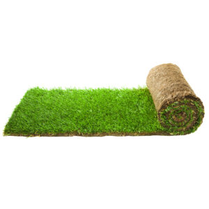 Signature Turf