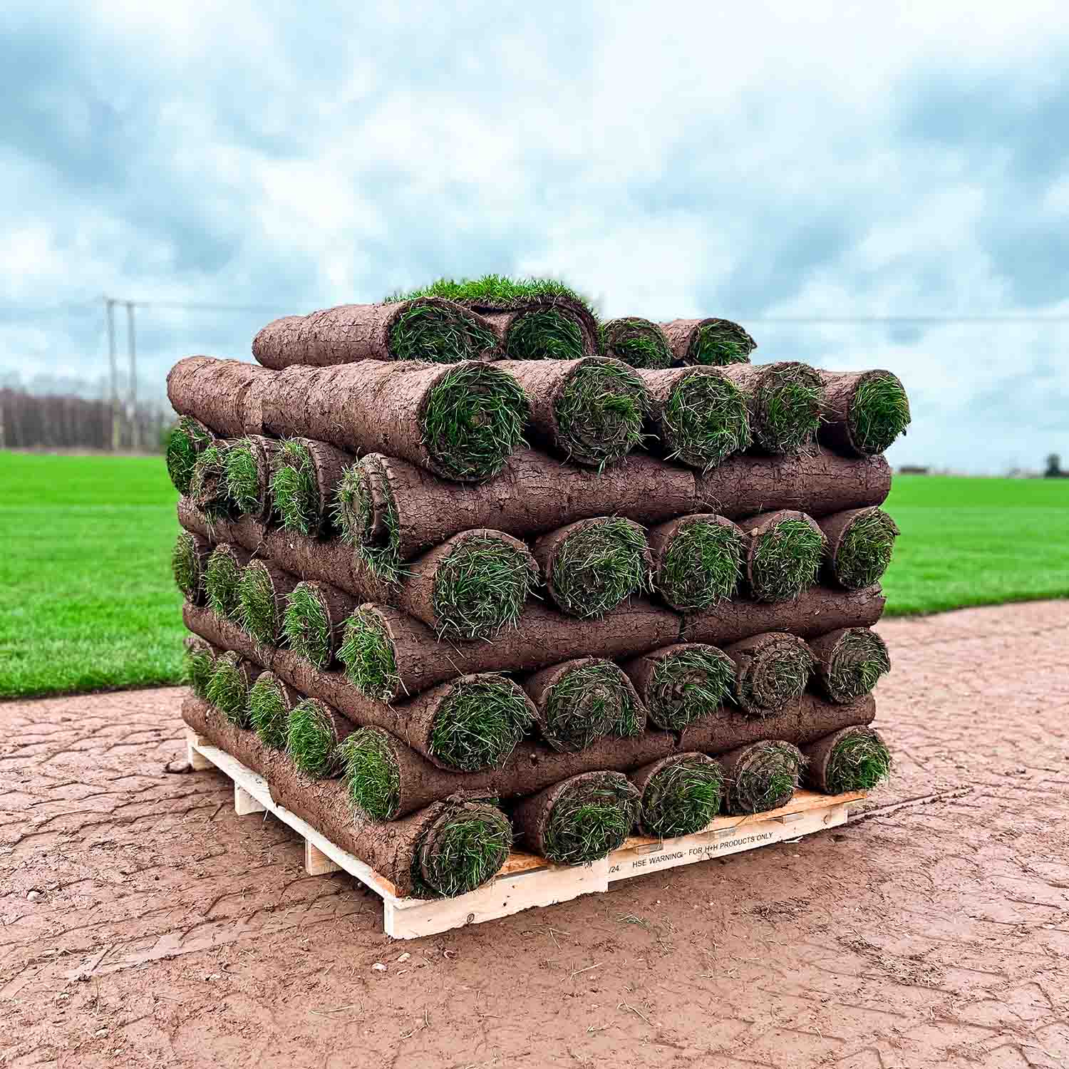 Signature Turf - Image 2