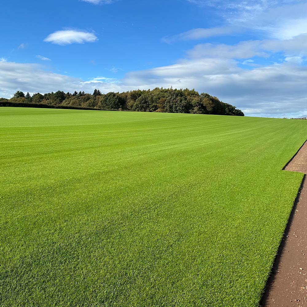Signature Turf - Image 5