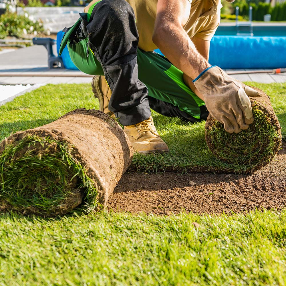 Signature Turf - Image 4